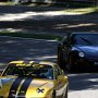 IMG_7342