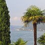 Cay_2010.014