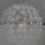 PSC110_UU028