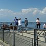 Cay_2010.198