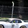 IMG_7284